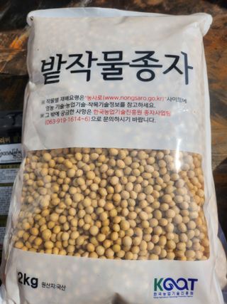 조일현님의 콩 · 영농일지 작성글 사진