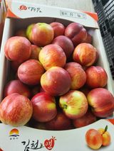 팜모닝 복숭아·영농일지 게시글 이미지