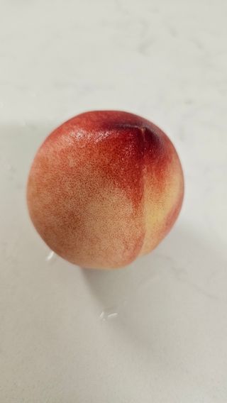 종합선물세트님의 농사, 무엇이든 물어보세요! · 참여글 작성글 사진