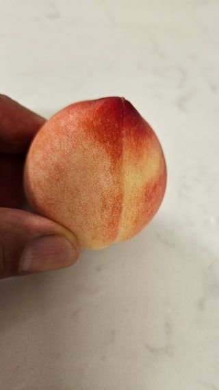 종합선물세트님의 농사, 무엇이든 물어보세요! · 참여글 작성글 사진