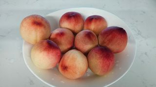 종합선물세트님의 농사, 무엇이든 물어보세요! · 참여글 작성글 사진