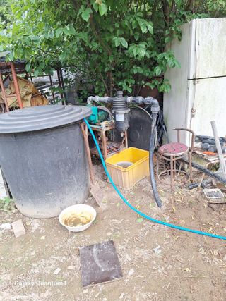 임동식님의 고추 · 영농일지 작성글 사진