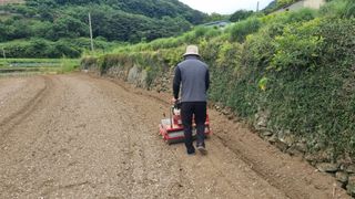 돌산갓농부(김승렬)님의 기타작물 · 영농일지 작성글 사진