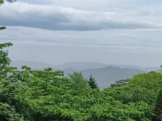 박상준 님의 사과 · 영농일지 작성글 사진