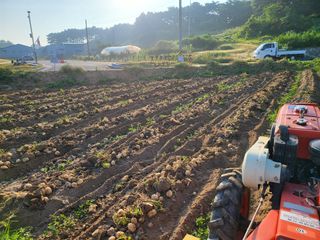 인호님의 자유주제 · 자유게시판 작성글 사진