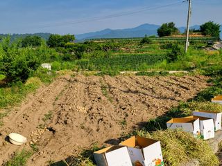 인호님의 자유주제 · 자유게시판 작성글 사진