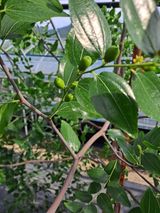 팜모닝 자유주제·자유게시판 게시글 이미지