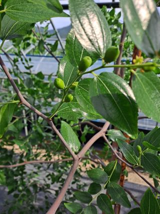 송오목님의 자유주제 · 자유게시판 작성글 사진