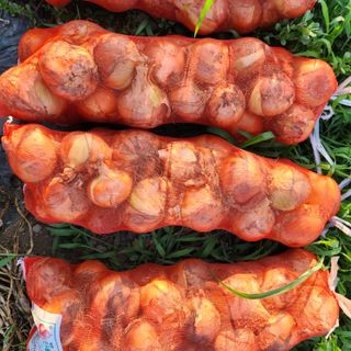 제주삼둥이네님의 자유주제 · 자유게시판 작성글 사진