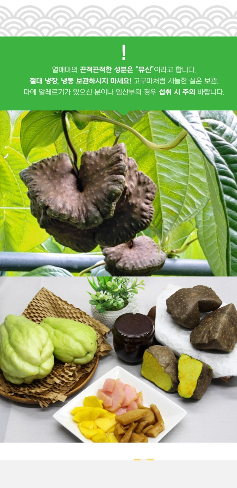 장터 상품 [오늘 하늘마 차요테  첫 주문 받아  배송 하였습니다 ] 썸네일