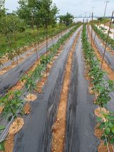 팜모닝 자유주제·자유게시판 게시글 이미지