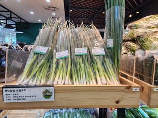 윤창호님의 자유주제 · 자유게시판 작성글 사진