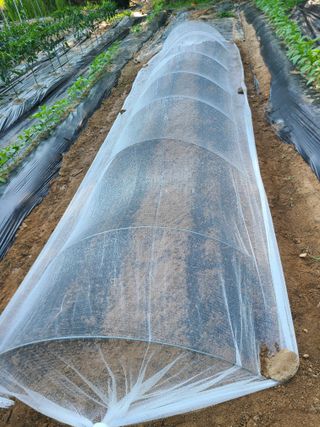 귀농 3년차님의 기타작물 · 영농일지 작성글 사진