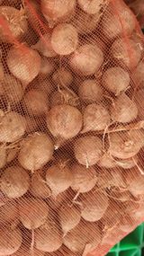 팜모닝 마늘·영농일지 게시글 이미지