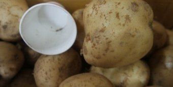 황병호님의 장터 판매 상품 [수미감자 10kg] 첨부 사진