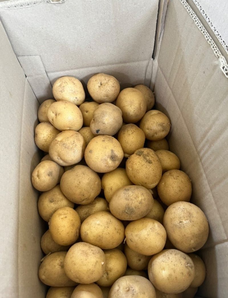 황병호님의 장터 판매 상품 [수미감자 10kg] 첨부 사진