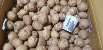 황병호님의 장터 판매 상품 [수미감자 10kg] 첨부 사진