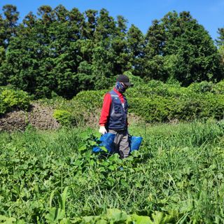 김영미(용흥팜)님의 자유주제 · 자유게시판 작성글 사진