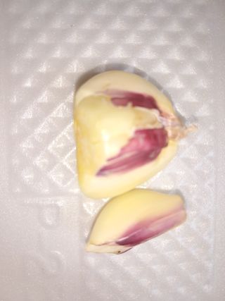 별빛농장지기님의 자유주제 · 자유게시판 작성글 사진