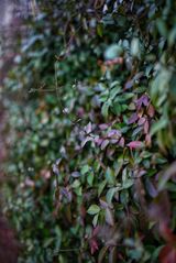 팜모닝 자유주제·자유게시판 게시글 이미지