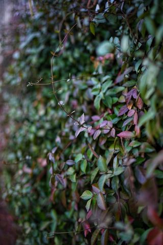 염상권님의 자유주제 · 자유게시판 작성글 사진