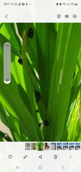 팜모닝 자유주제·자유게시판 게시글 이미지