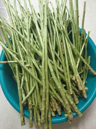 김인태님의 자유주제 · 자유게시판 작성글 사진