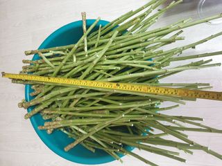 김인태님의 자유주제 · 자유게시판 작성글 사진