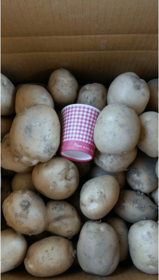 황병호님의 작성글 사진