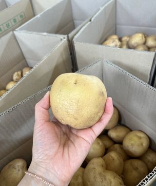 황병호님의 작성글 사진