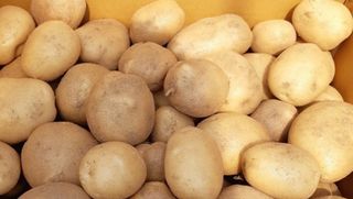 황병호님의 작성글 사진