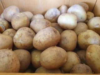 황병호님의 작성글 사진