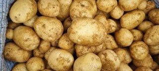 황병호님의 작성글 사진