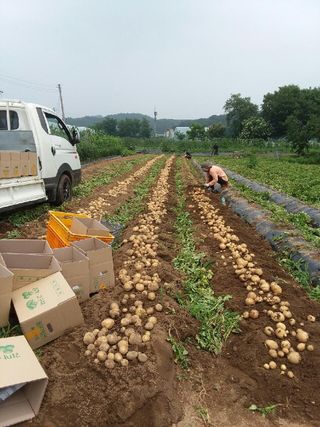 황병호님의 작성글 사진