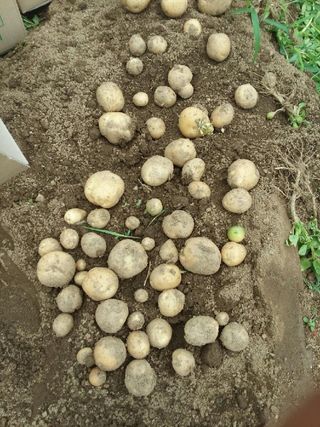 황병호님의 작성글 사진