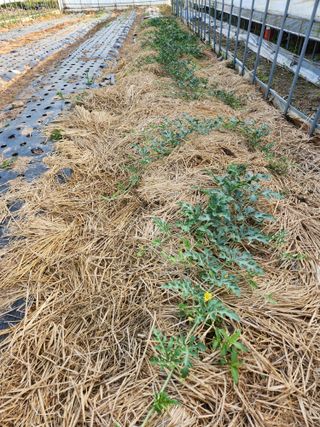 정재문님의 자유주제 · 자유게시판 작성글 사진