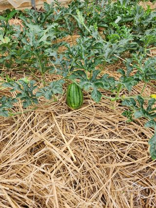 정재문님의 자유주제 · 자유게시판 작성글 사진