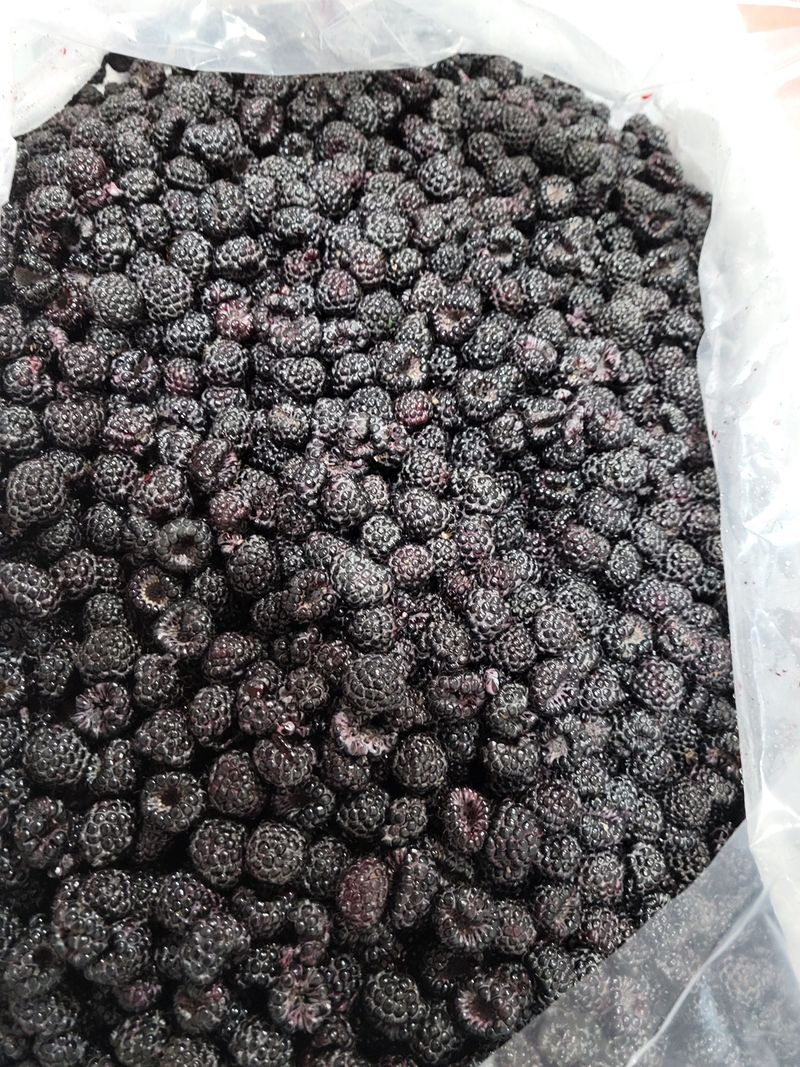 화양청정계곡농장님의 장터 판매 상품 [토종햇복분자판매] 첨부 사진