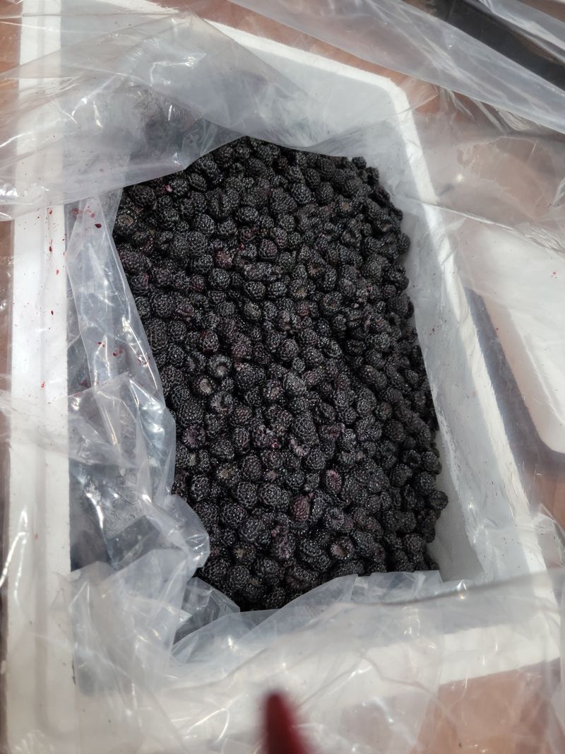 화양청정계곡농장님의 장터 판매 상품 [토종햇복분자판매] 첨부 사진