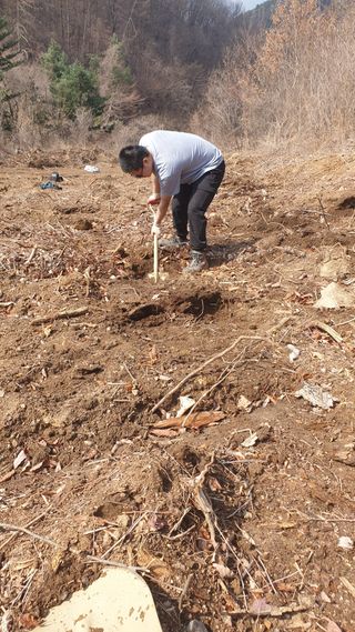 이태건님의 기타작물 · 영농일지 작성글 사진