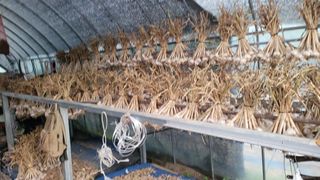 지피지기님의 ☔️장마 대비 하셨나요? · 참여글 작성글 사진