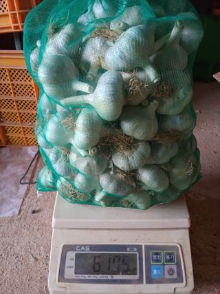 조성국님의 작성글 사진