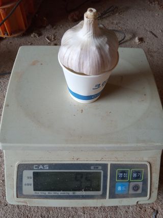 조성국님의 작성글 사진