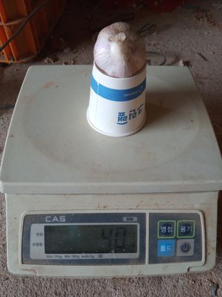 조성국님의 작성글 사진