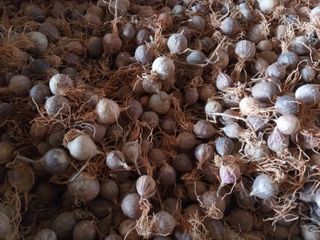 조성국님의 작성글 사진