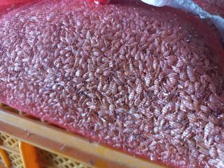 조성국님의 작성글 사진