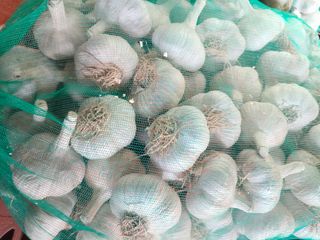 조성국님의 작성글 사진