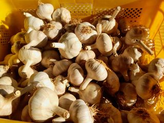 조성국님의 작성글 사진