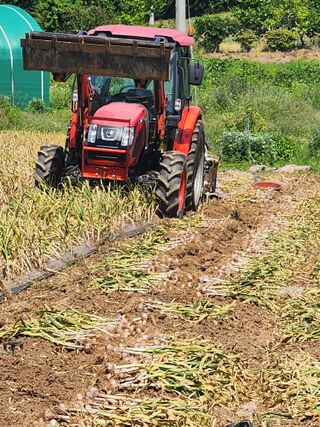 이덕우님의 자유주제 · 자유게시판 작성글 사진