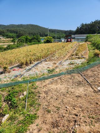 이덕우님의 자유주제 · 자유게시판 작성글 사진